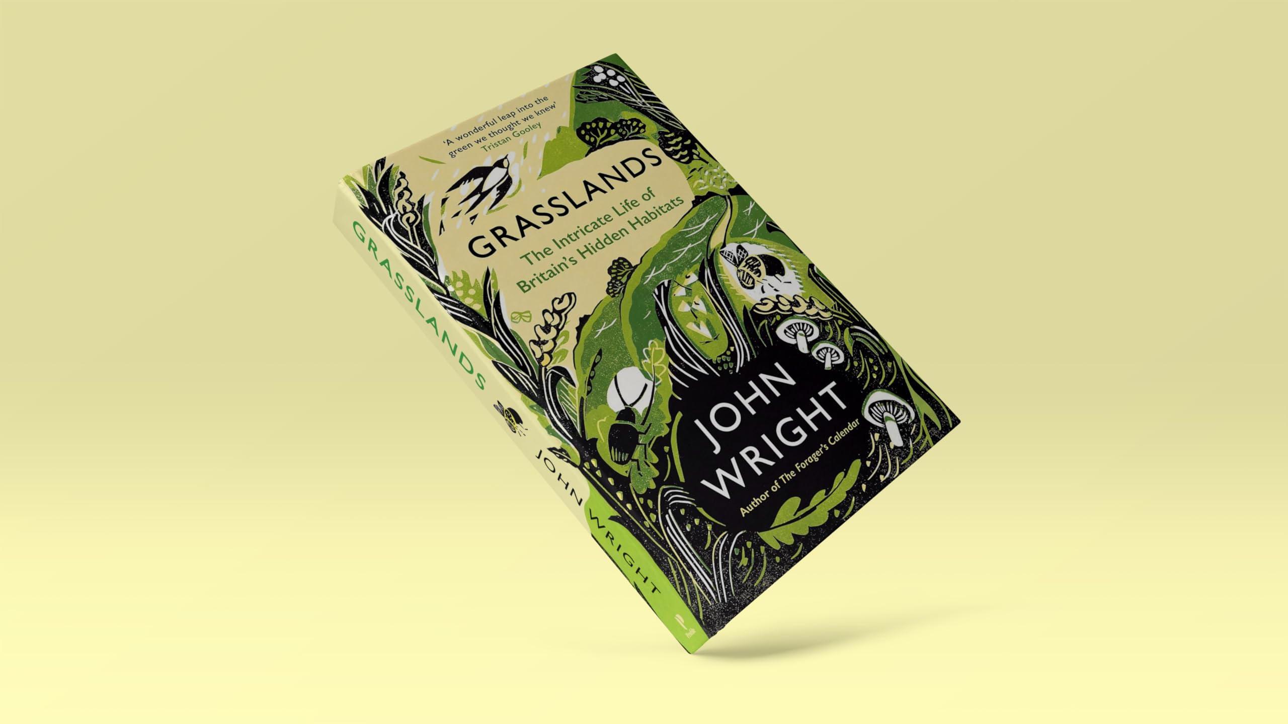John Wright - Grasslands: The Intricate Life of Britain's Hidden Habitats | Hardcover 4