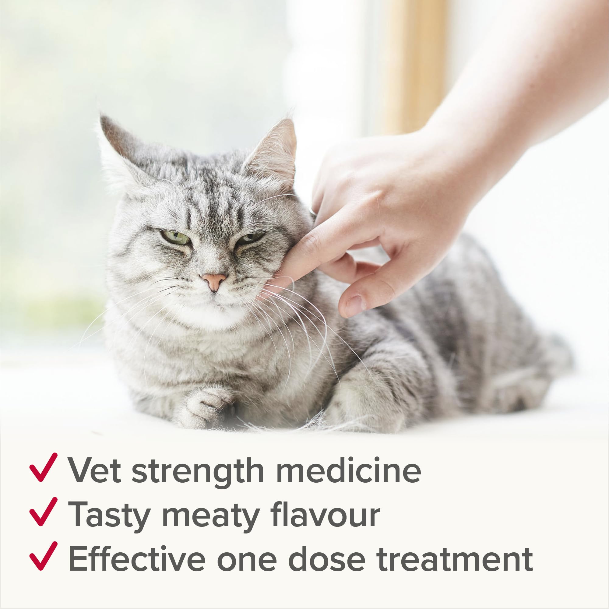 Beaphar WORMclear Tablets for Cats - Kills Roundworms & Tapeworms | 2 Tablet Pack 4