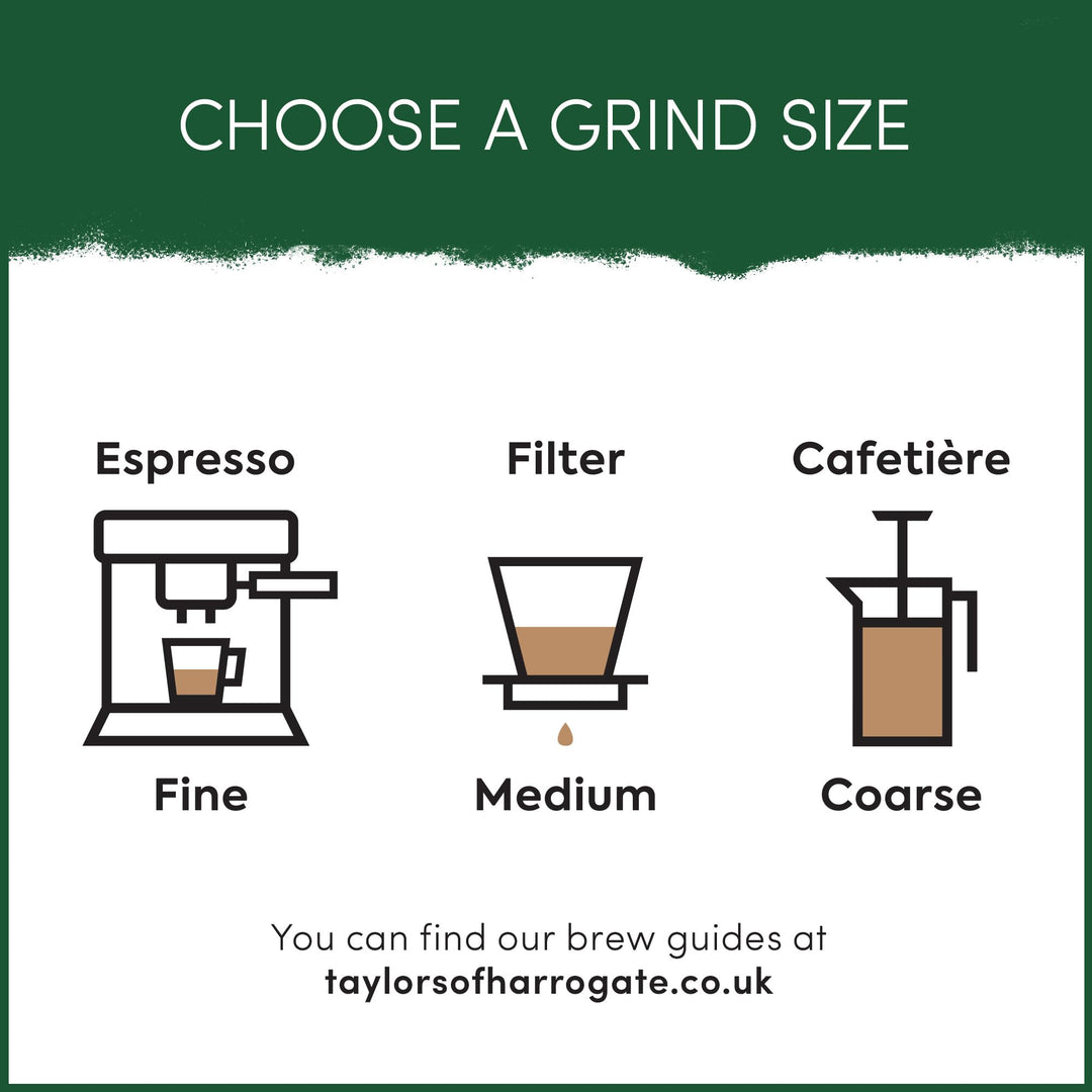 Taylors of Harrogate Flying Start Coffee Beans, 700g - Dark Roast Arabica Blend