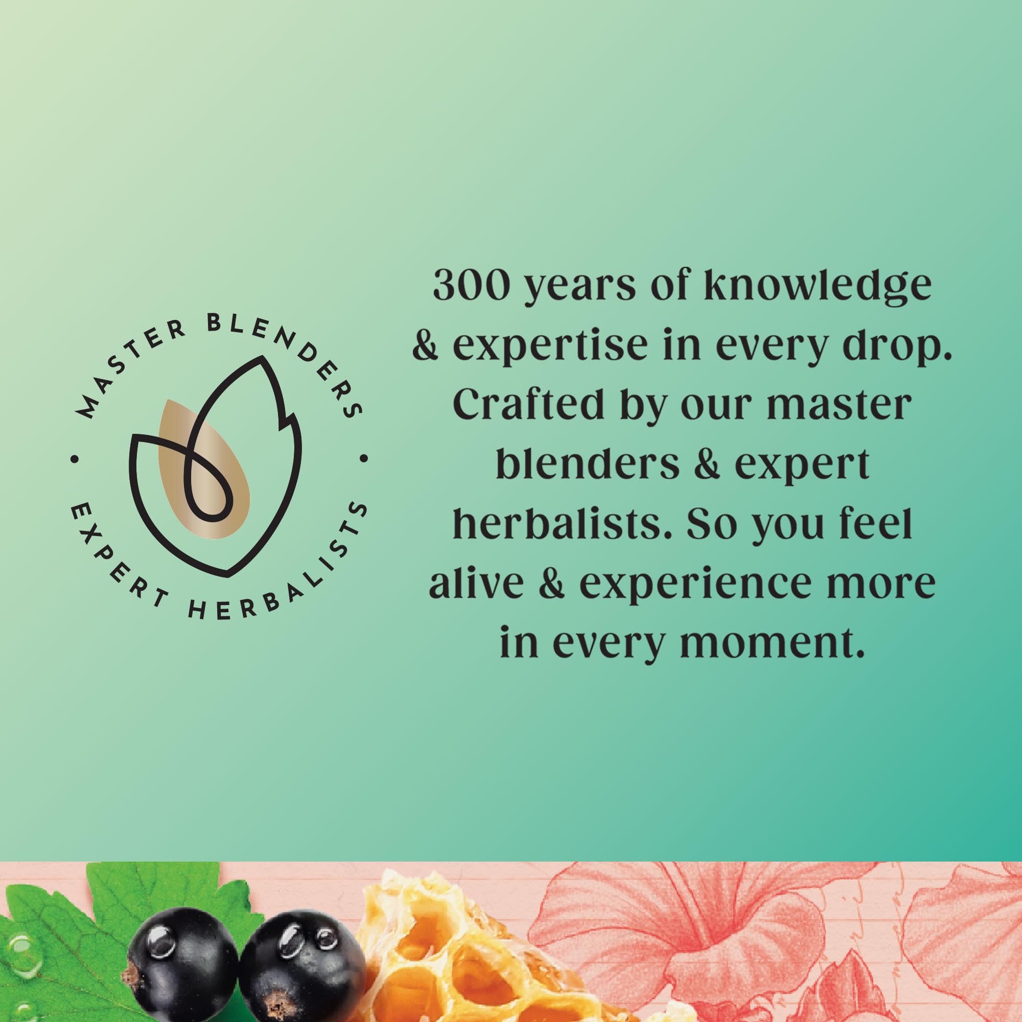 Twinings Superblends Heartea Tee – Kräutertee aus schwarzer Johannisbeere und Rosmarin mit Honig, Hibiskus und Vitamin B1 – 20 biologisch abbaubare Teebeutel 4