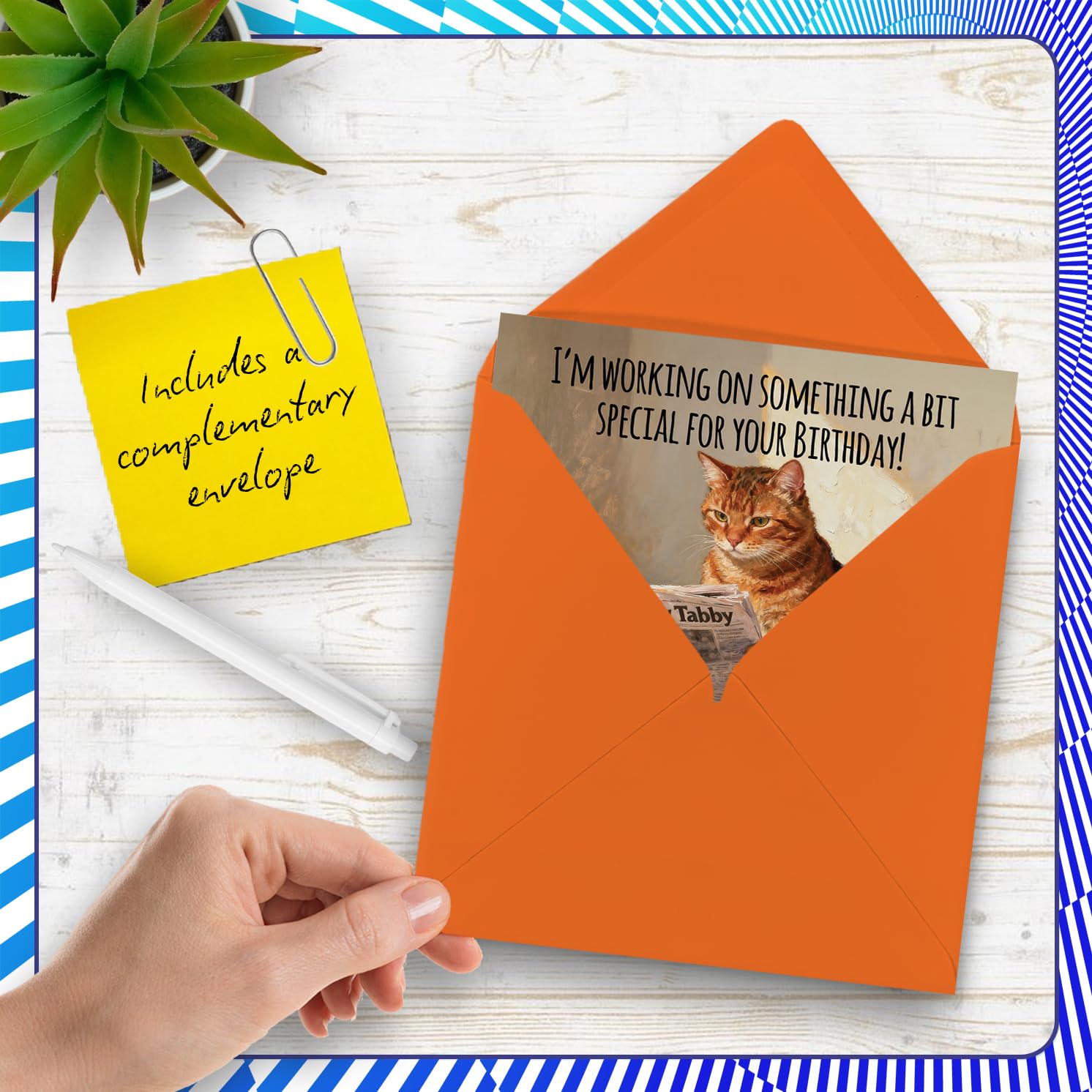 Stuff4 Funny Cat Litter Tray Humour Birthday Card for Men & Women | Blank Inside | 145mm x 145mm 5