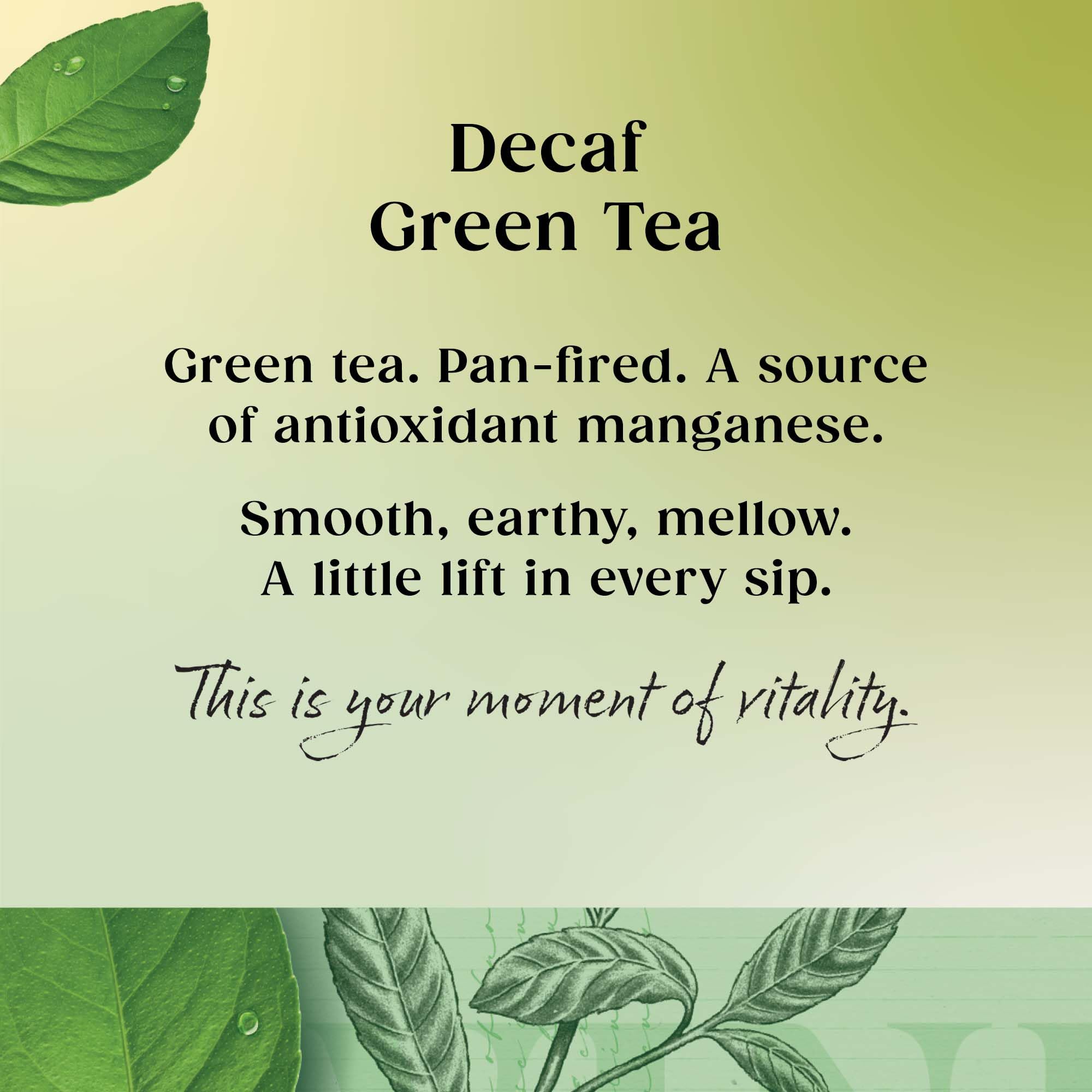 Twinings Decaf Pure Green Tea, Pack of 20 Tea Bags 7