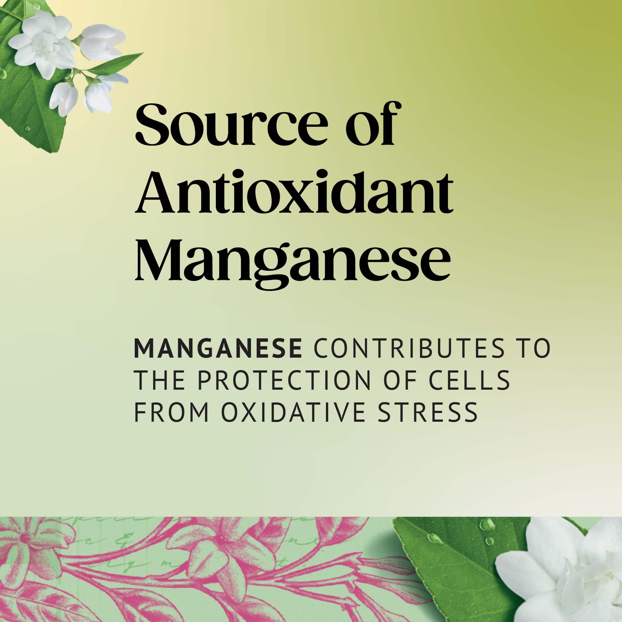 Twinings Jasmine Green Tea - Green Tea Bags (80 Tea Bags) 4