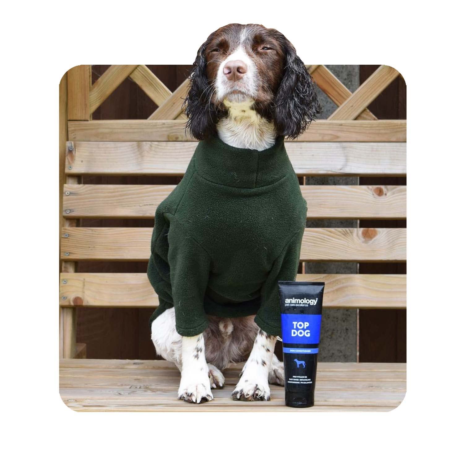 Animology Top Dog Conditioner - Detangling & Moisturising Formula | 250 ml 7