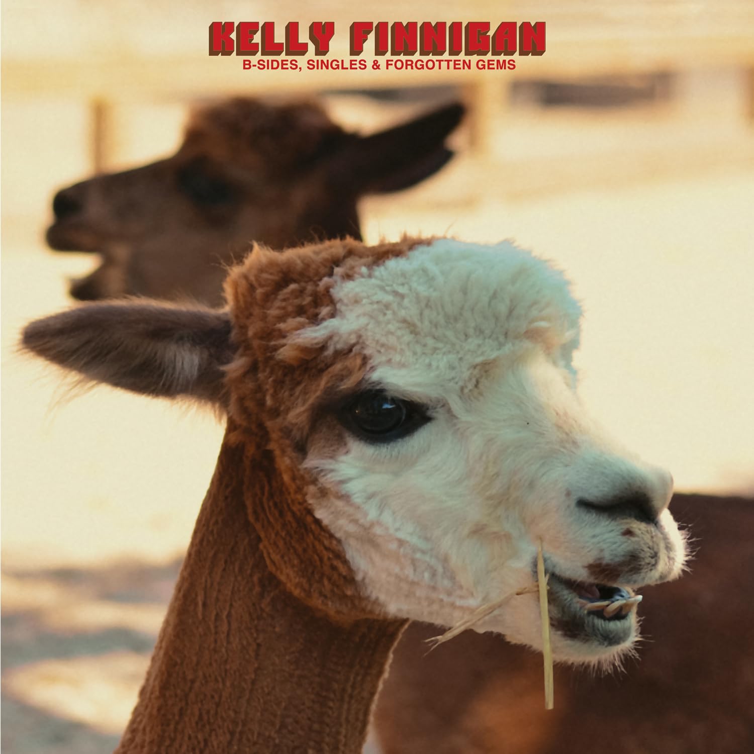 Kelly Finnigan - B-Sides, Singles & Forgotten Gems [CD] 1