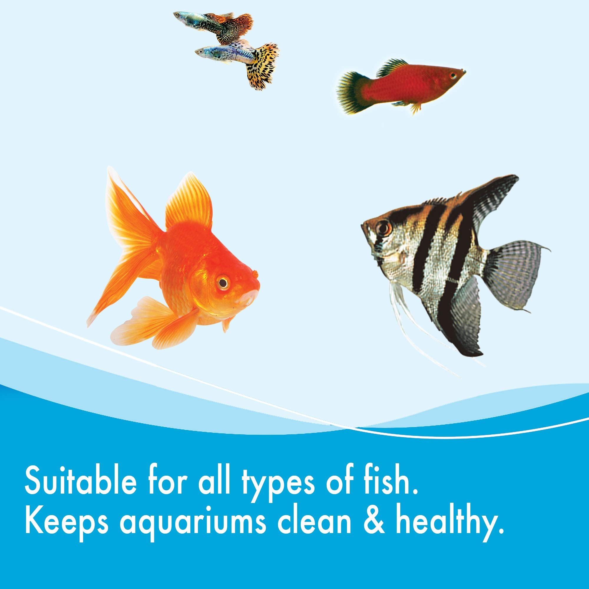 AQUARIAN Weekly Water Cleaner for Aquariums - Liquid Treatment, 473 ml (Pack of 1) 5