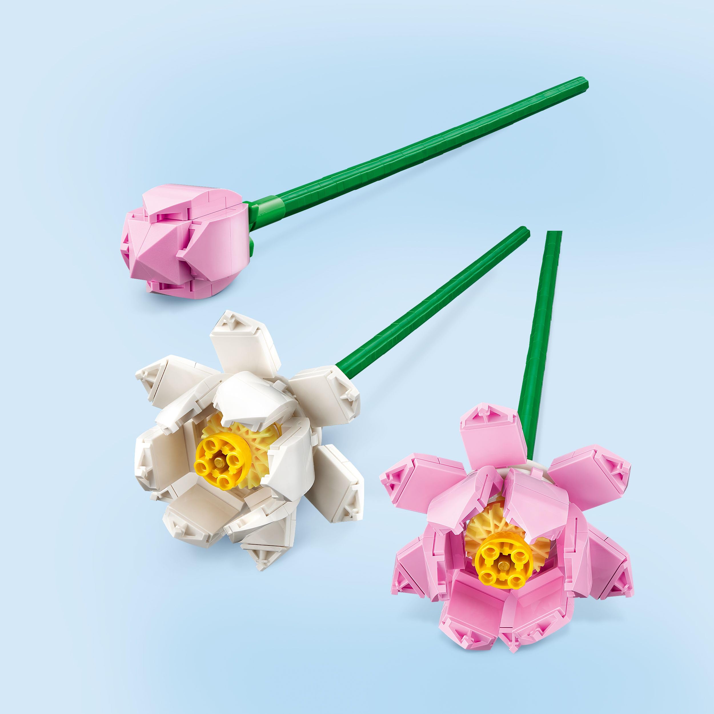 LEGO Botanicals Lotus Flowers Building Set 40647 | 8+ Years | Pink & White Blooms | Desk Decor 3