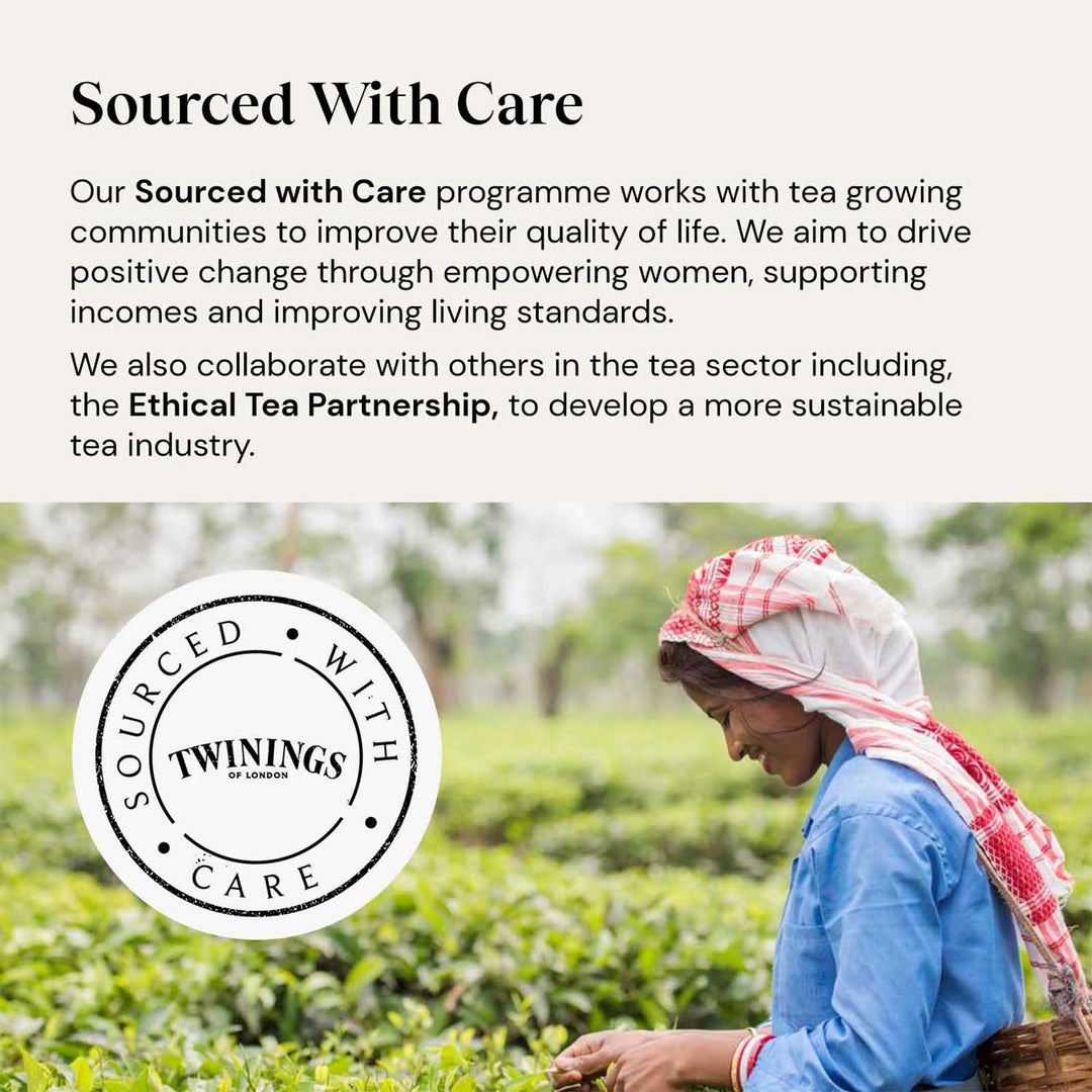 Twinings Superblends Metabolism Tea - Peppermint & Spiced Green Herbal Infusion with Nettle & Zinc, 80 Biodegradable Tea Bags
