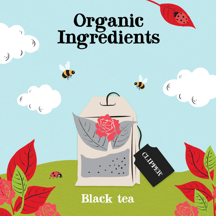 Clipper - Organic English Breakfast Tea Bags 250 Individually Wrapped