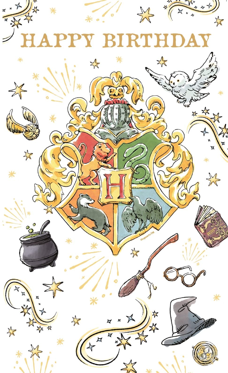 Danilo Promotions Ltd Official Harry Potter Birthday Card | Multi Color | 235x127x3mm
