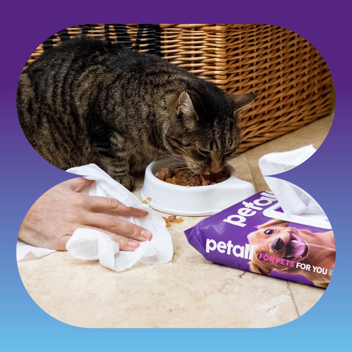 petall Extra Large Hypoallergenic Biodegradable Pet Wipes - 50 Count, 99% Water 6