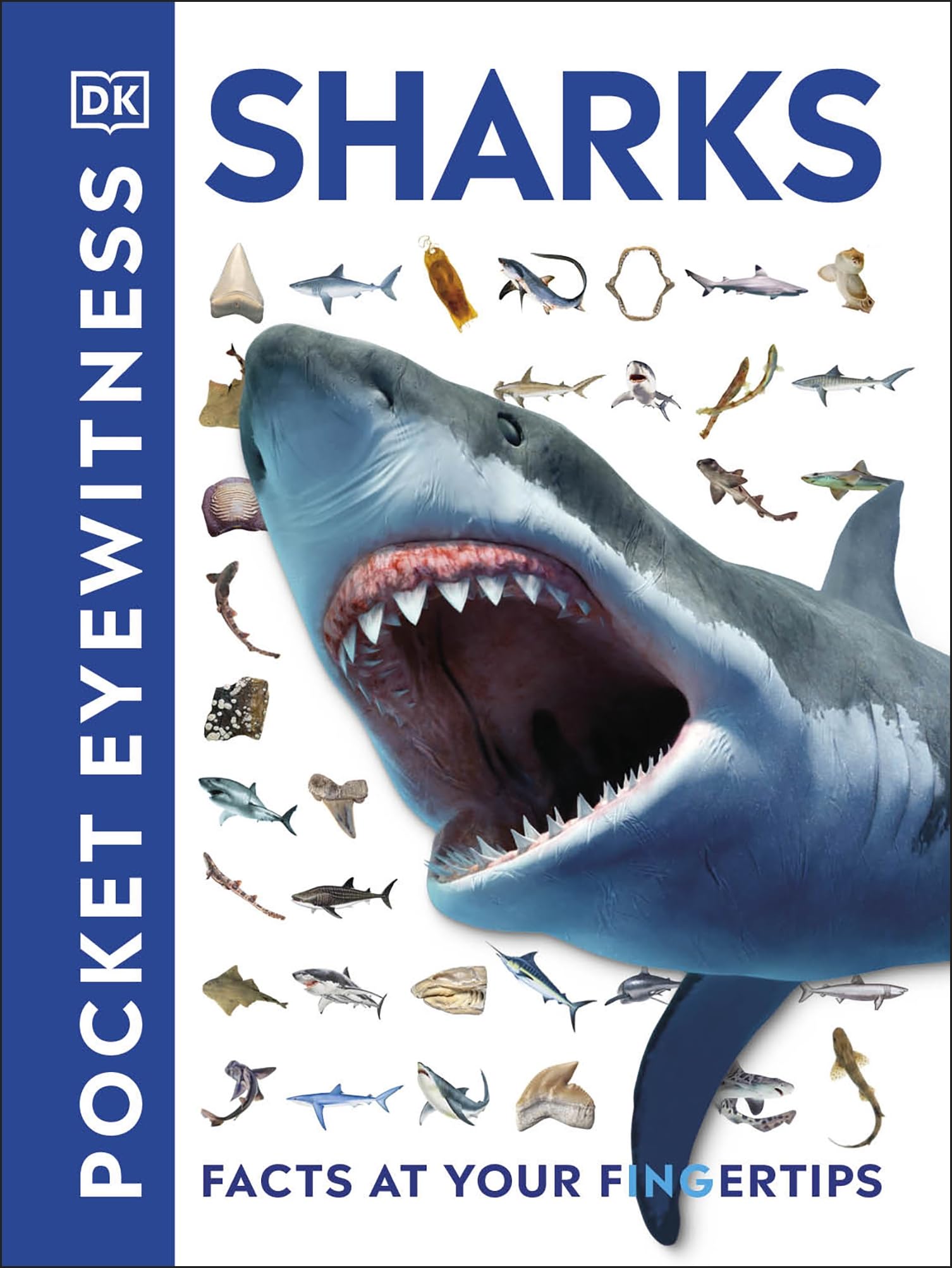 DK Pocket Eyewitness Sharks - Aquatic Creatures Book | Ages 9-12 | 160 Pages 1