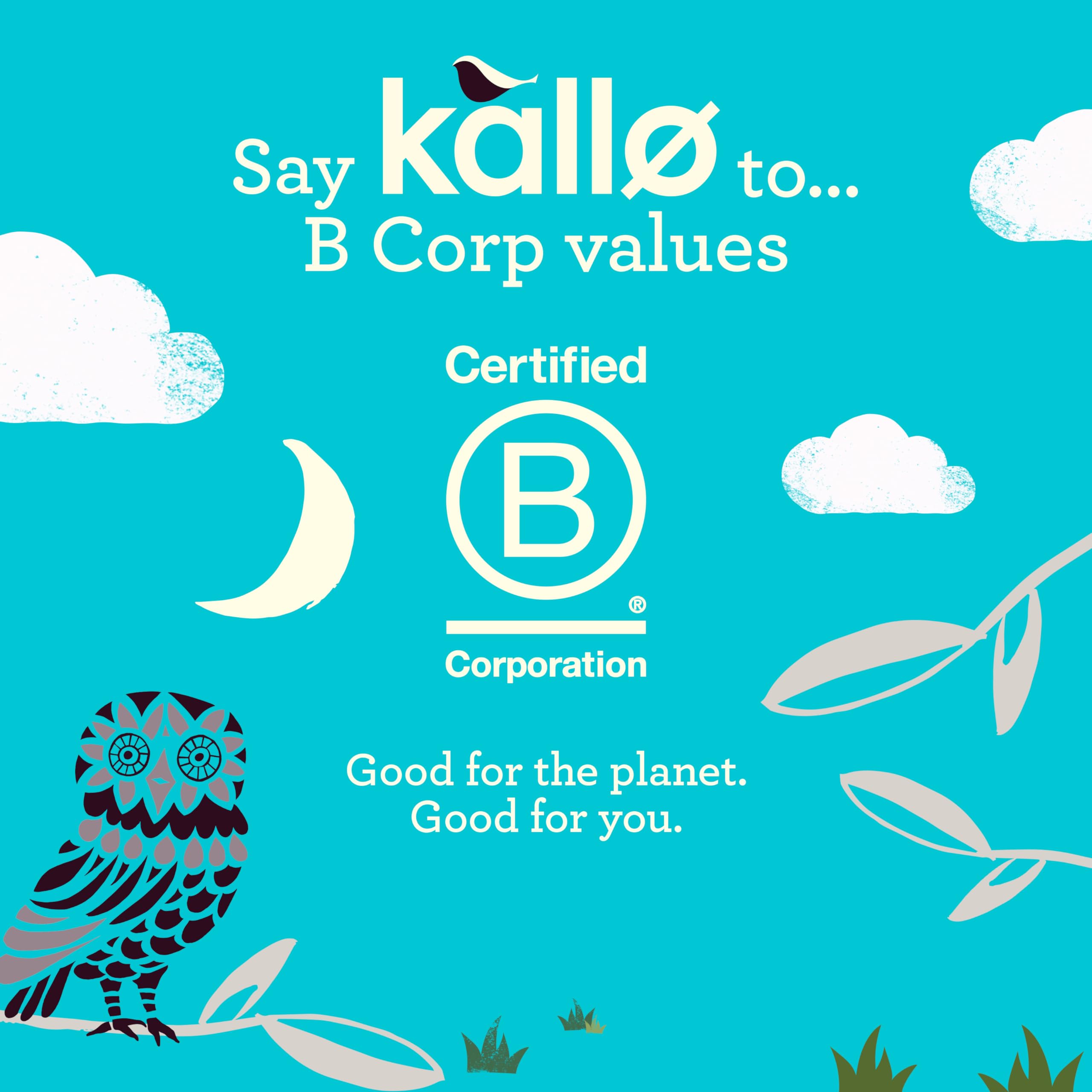 Kallo Organic Rice Cake Thins with Belgian Dark Chocolate | 75g | Gluten Free 6