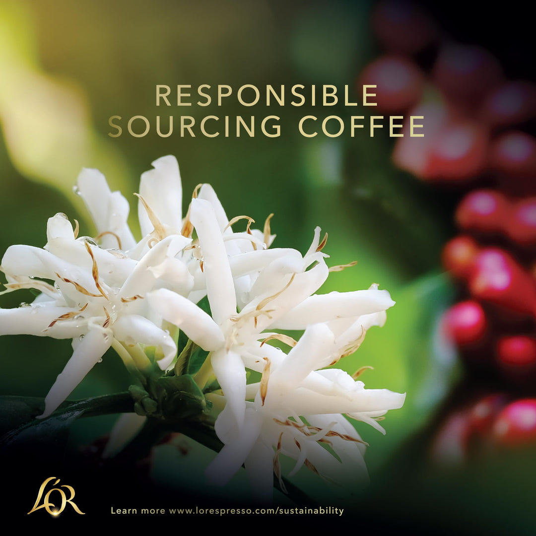 L"OR Espresso Onyx Coffee Beans 500g - Intense Dark Roast Blend