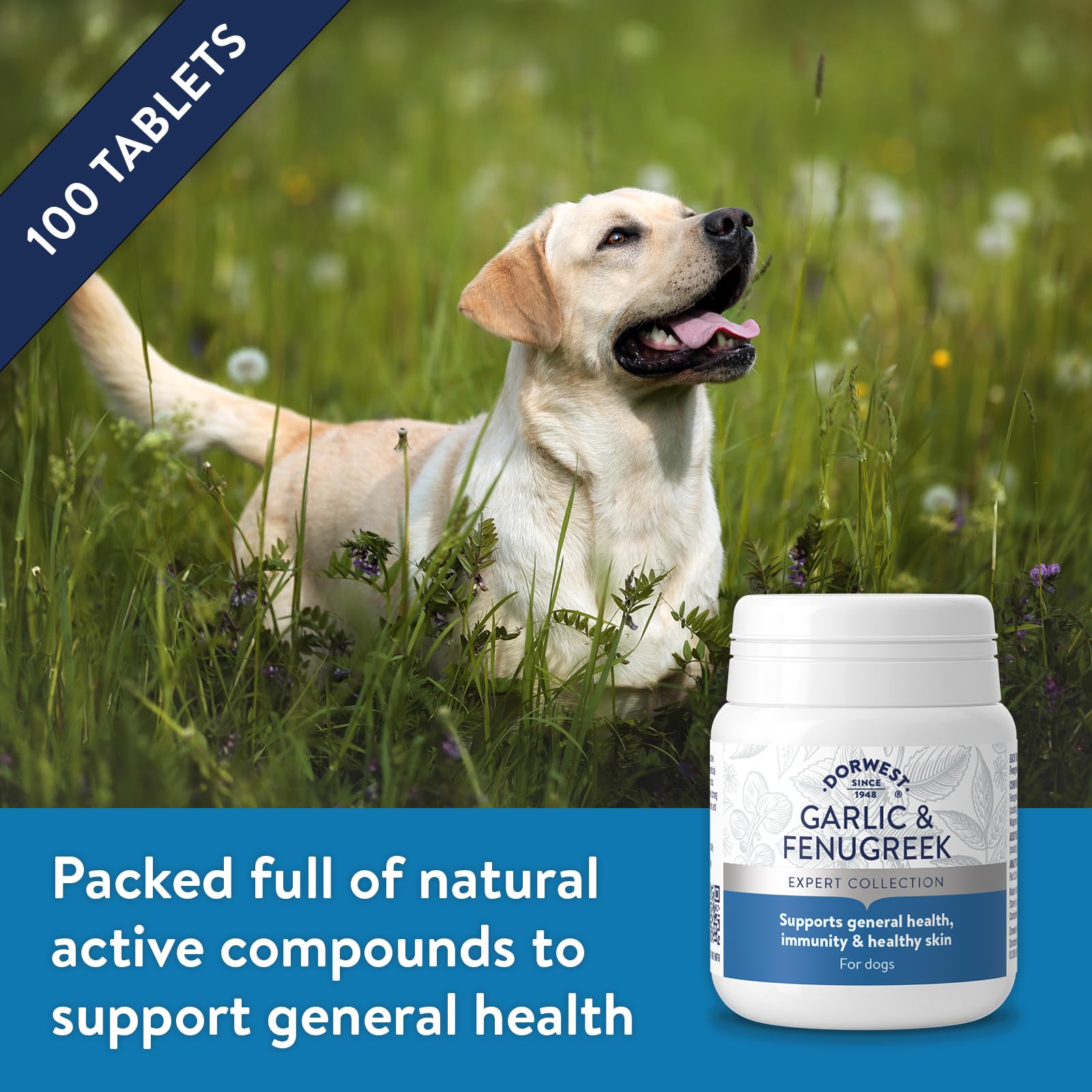 DORWEST HERBS Garlic and Fenugreek Tablets for Dogs and Cats - 100 Count