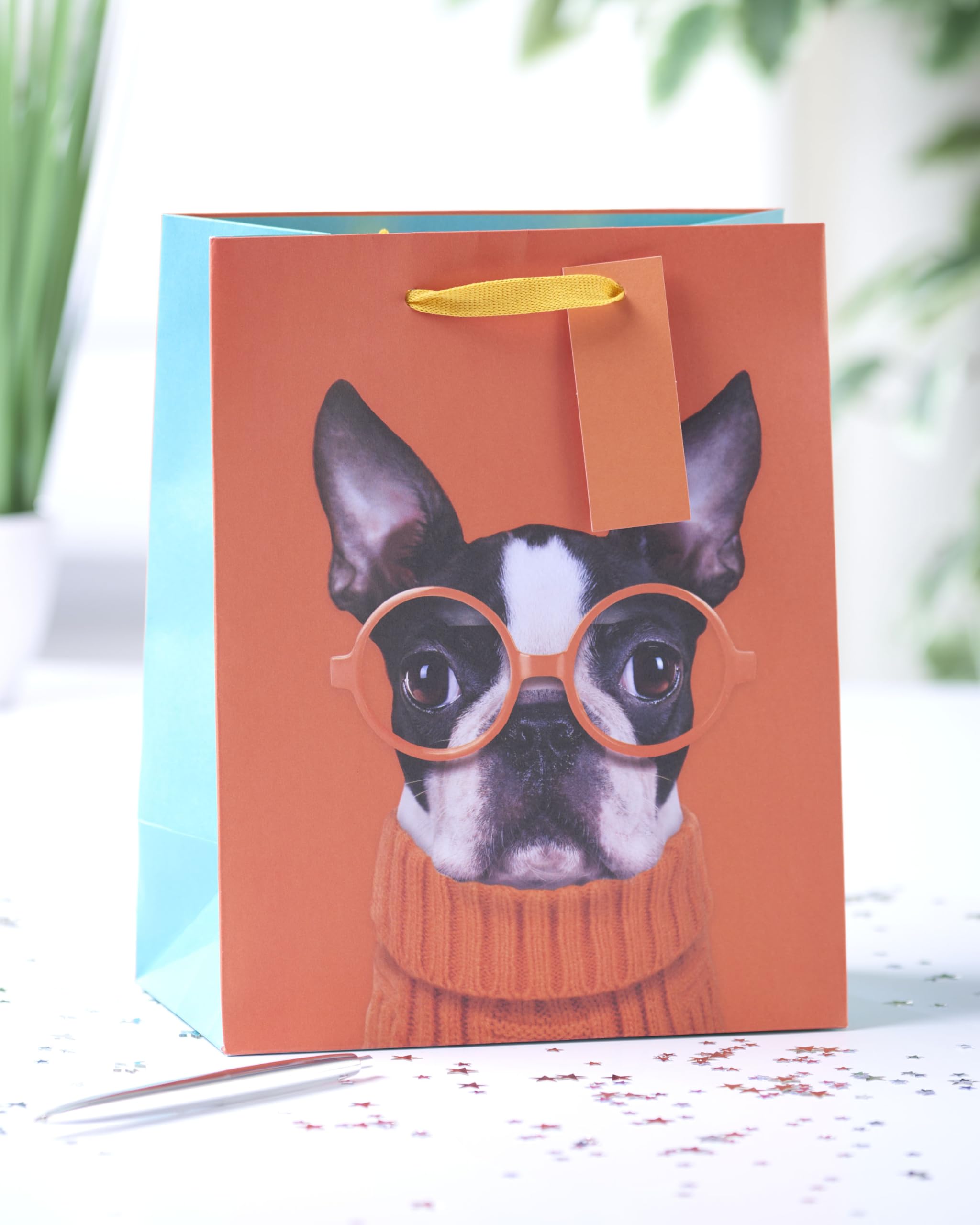 UK Greetings Medium Gift Bag - Boston Terrier with Glasses Design | 22.8 x 19 cm 3