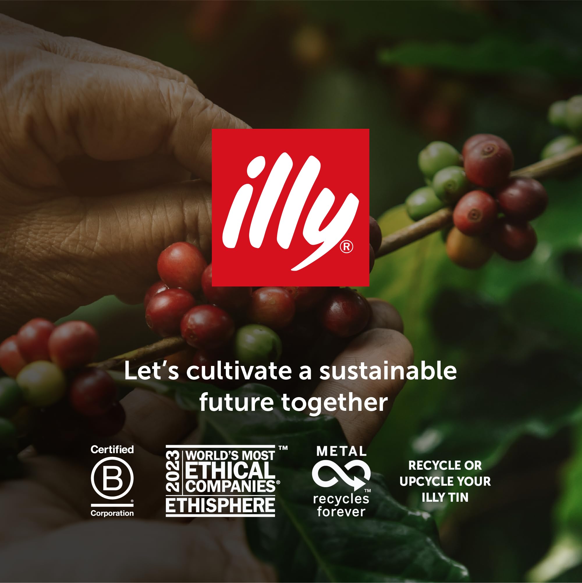 illy Intenso Whole Coffee Beans - Dark Roast Intensity 7/9 | 100% Arabica | 250 g 7