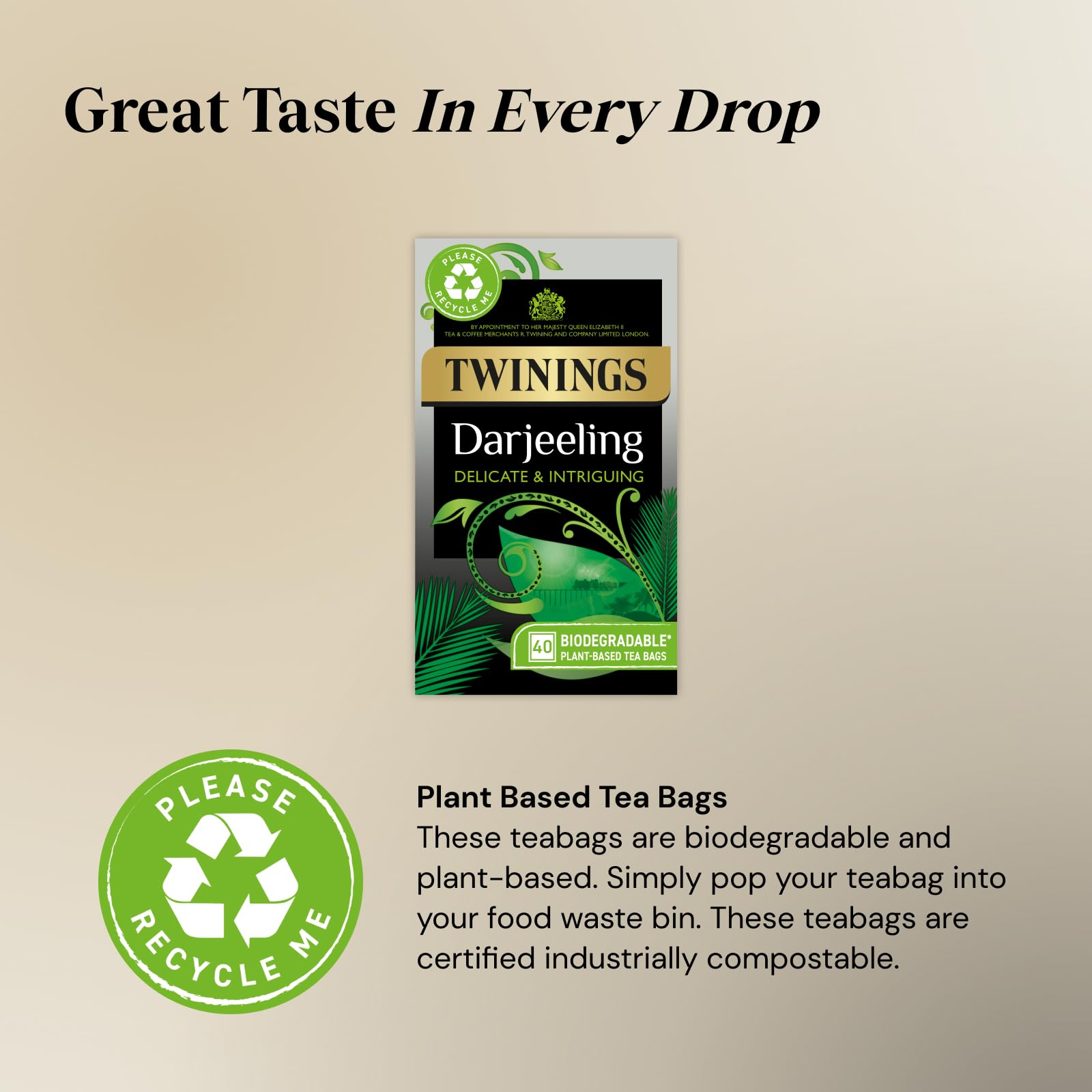 Twinings Darjeeling Black Tea - 40 Vegan Teabags | Light, Delicate Flavor | 100g
