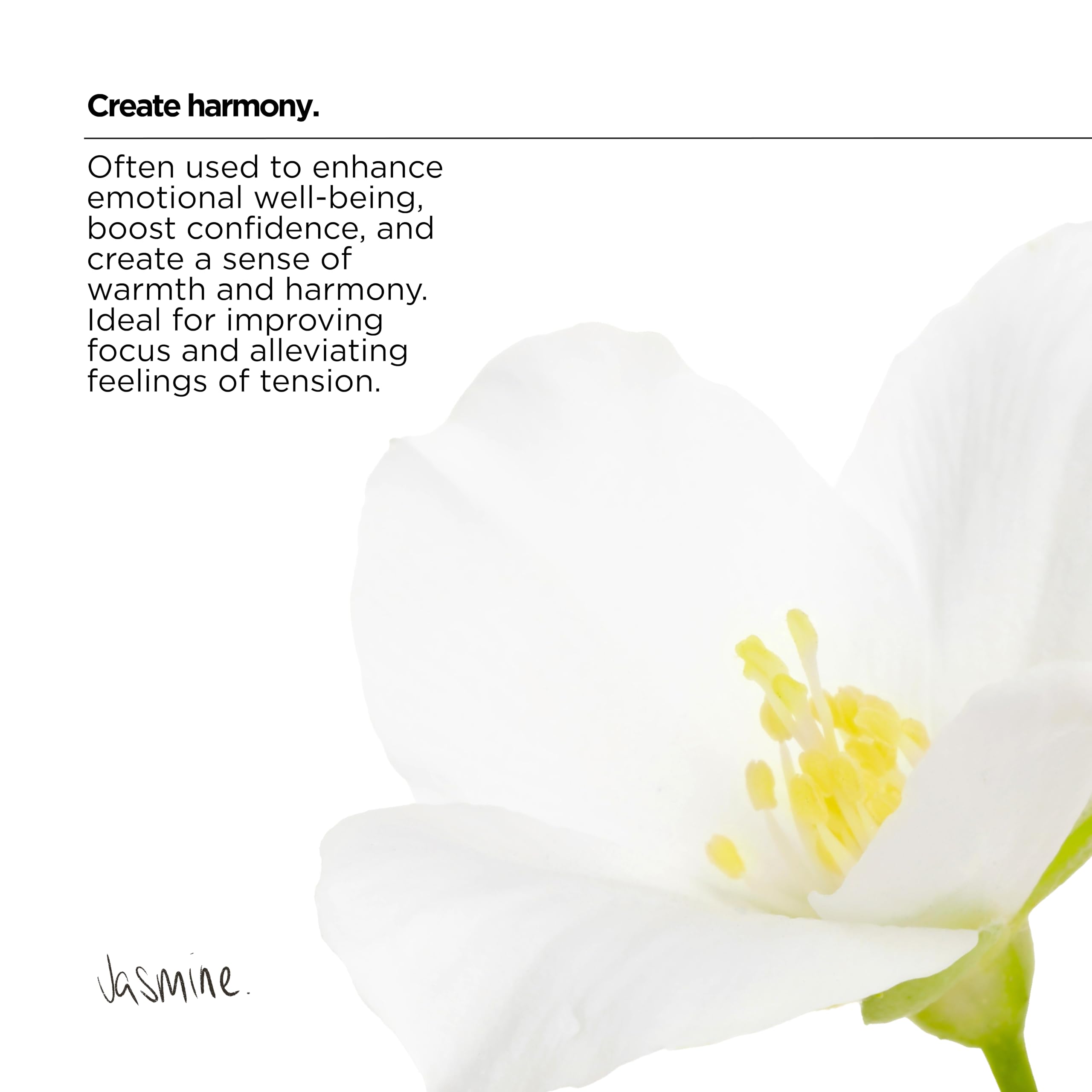 The Lab Co. - Relaxing Mood Non-Bio Concentrated Laundry Detergent 1L 4