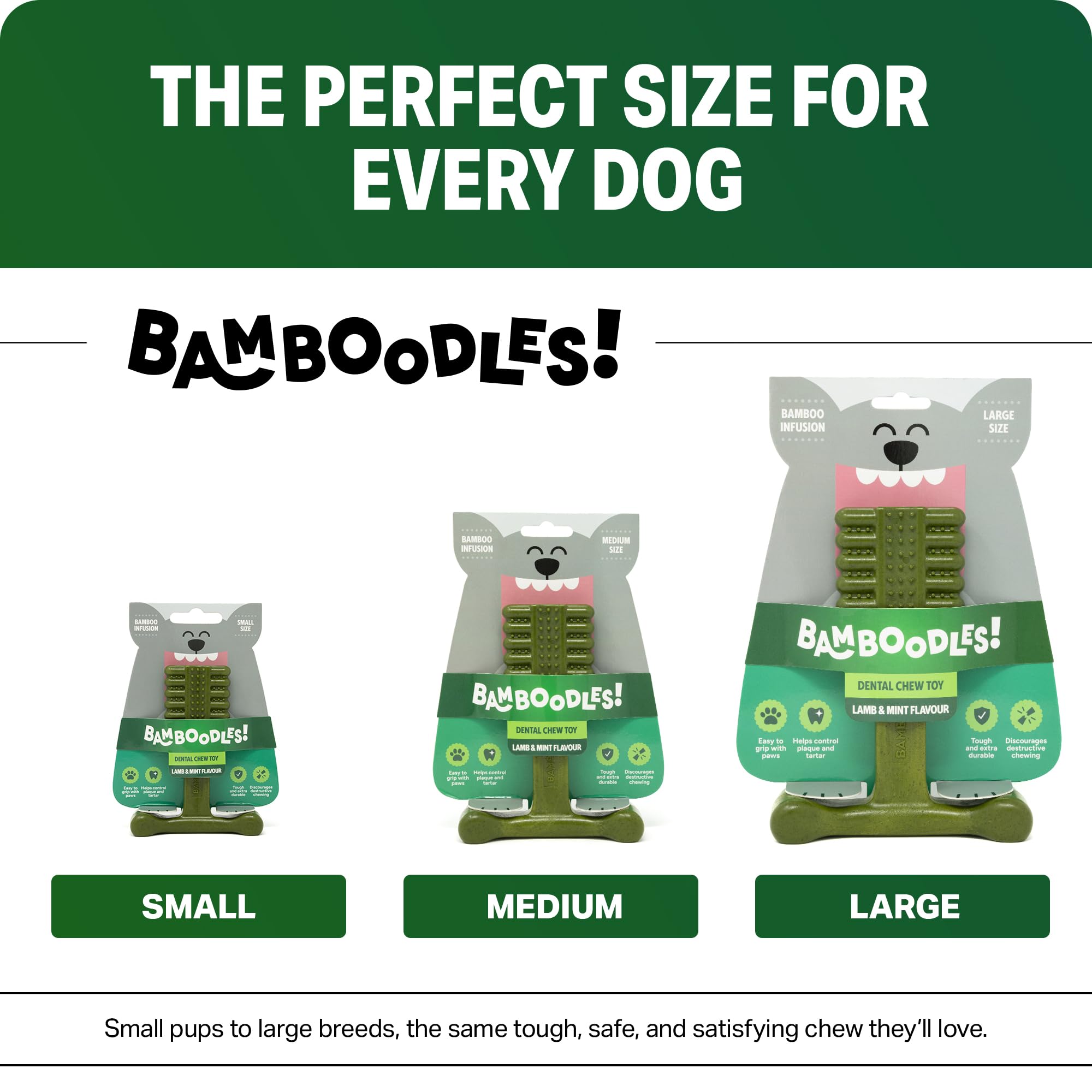 Bamboodles T-Bone Dog Chew Toy - Medium Size | Mint & Lamb Flavor | Heavy Duty 4