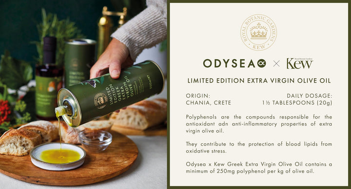 Odysea x Kew Gardens - High Polyphenol Greek Extra Virgin Olive Oil 500ml