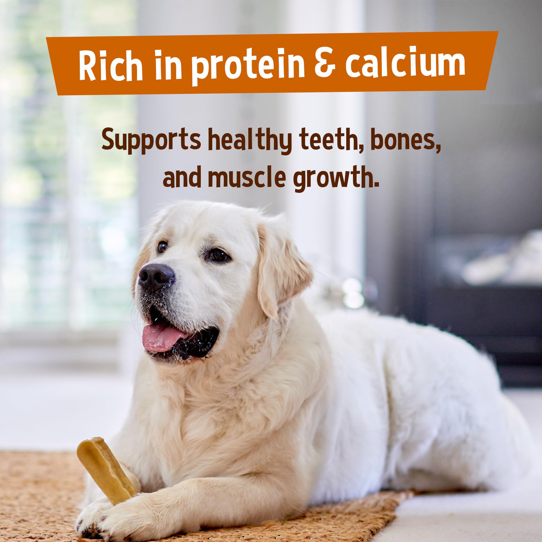 Yakers Blueberry Dog Chew - Medium Size | Protein & Calcium Rich | Promotes Dental Hygiene 8