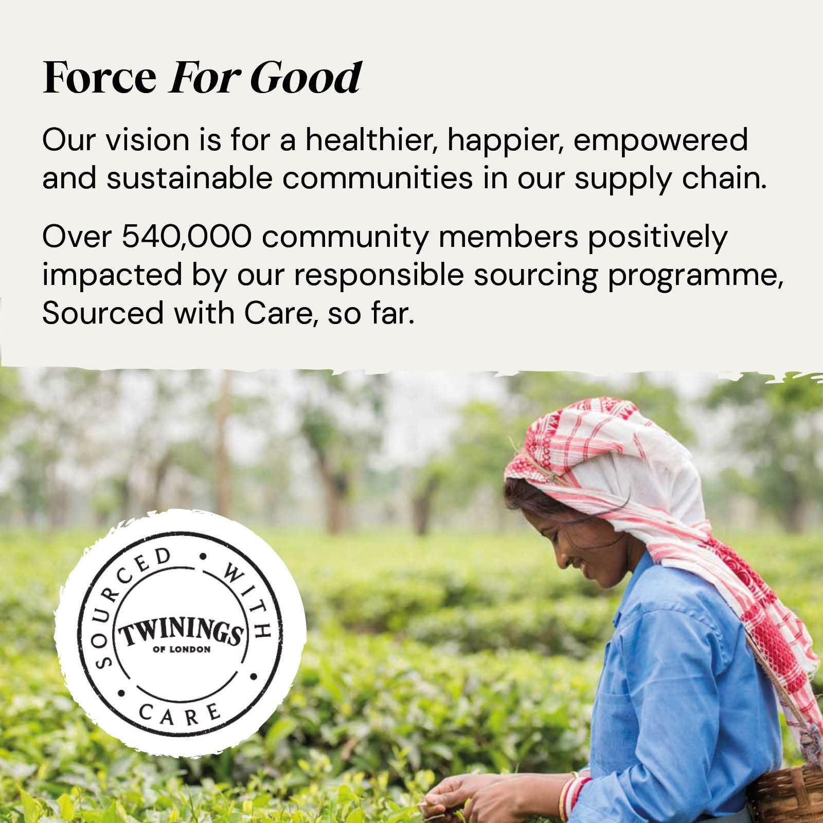 Twinings Früchtetee Mango Erdbeere &amp; Limette 80 Beutel (4 x 20) Koffeinfrei 6