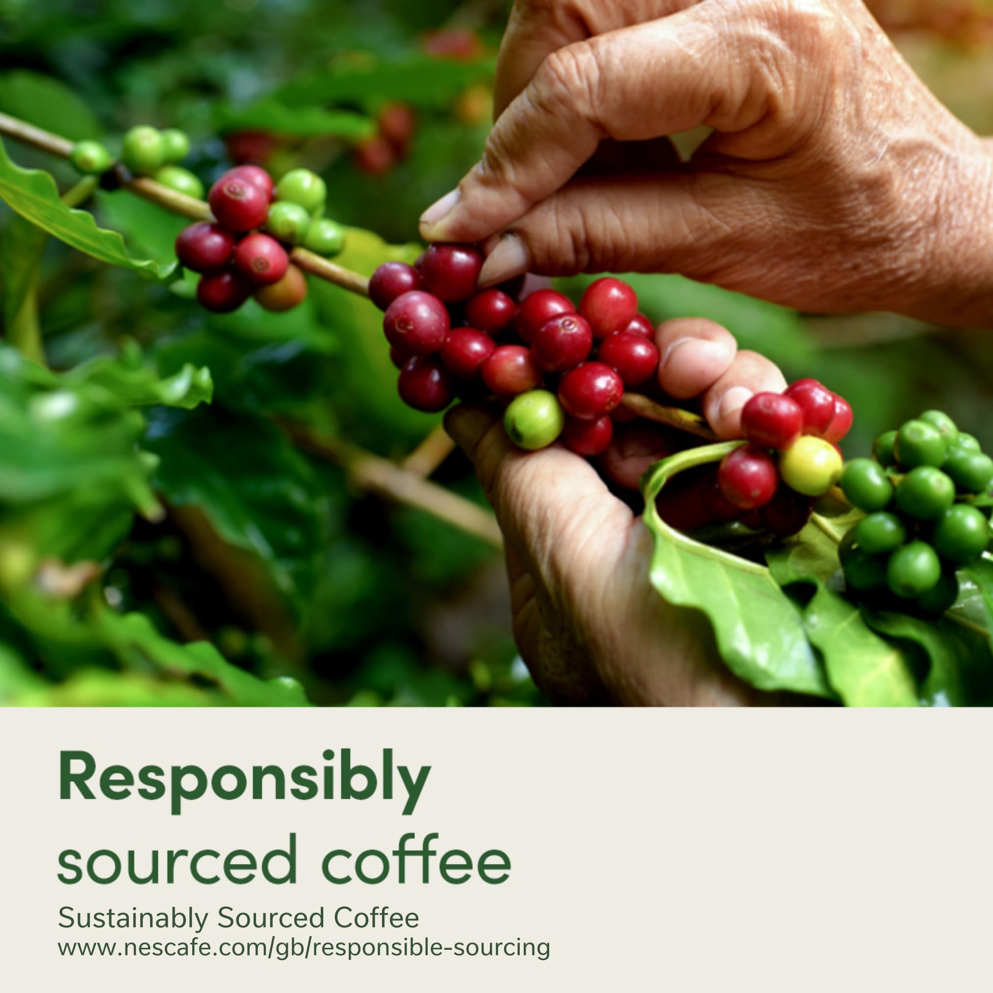 NESCAFÉ DOLCE GUSTO Americano Intenso - 48 Capsules (Pack of 3, 16 Count Each) 9