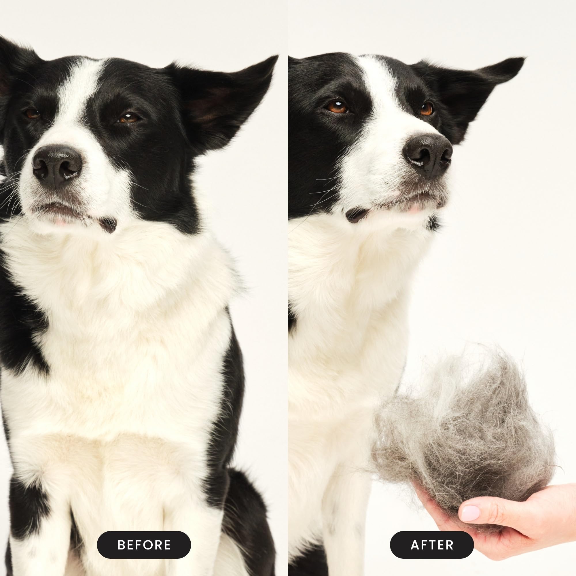 Pet Teezer Small De-Shedding Grooming Brush - Detangle | Lightweight | Easy to Clean 5