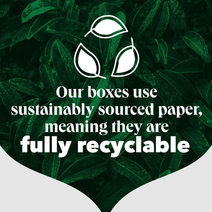 PG Tips Decaf Black Tea Bags Bulk - 70 Biodegradable Plant-Based Tea Bags