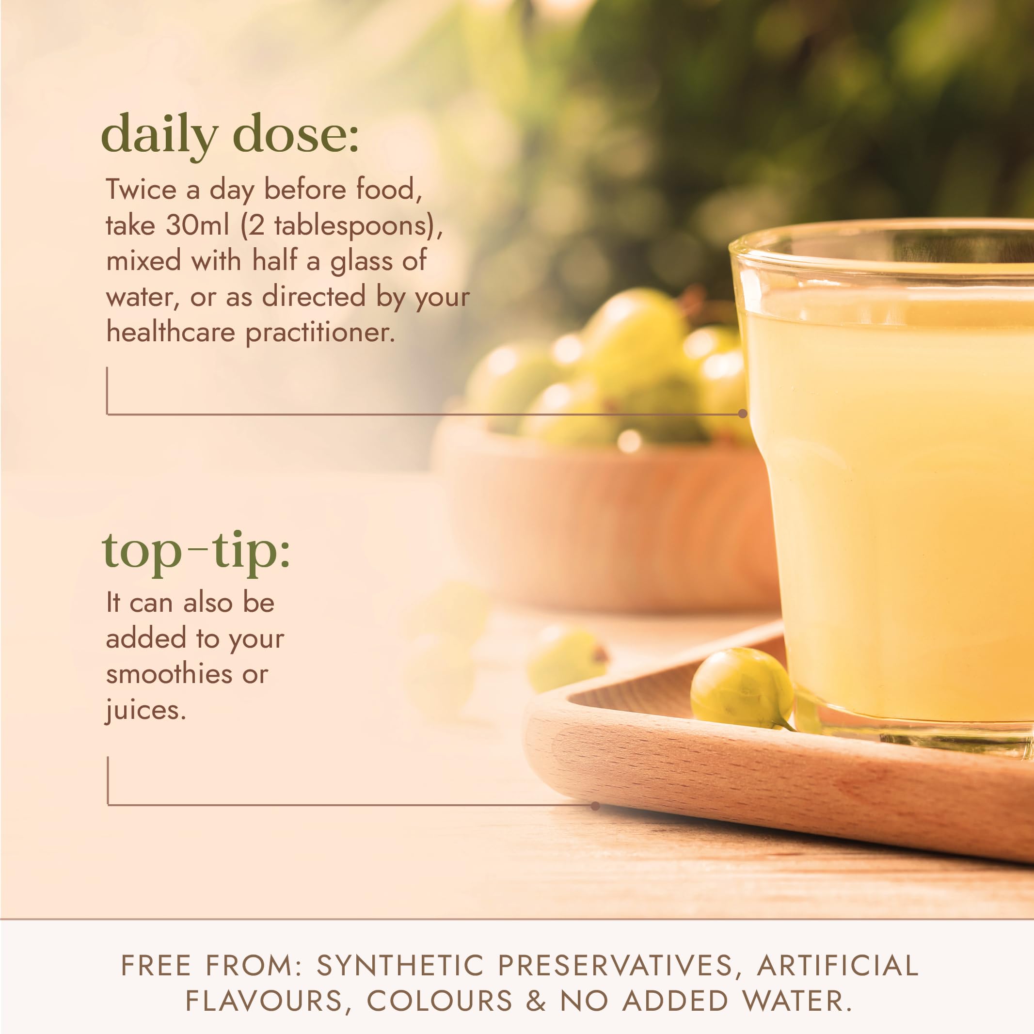 Fushi Amla Saft 500ml | Kaltgepresster Indischer Stachelbeersaft | 100% Roh &amp; Ungefiltert 4