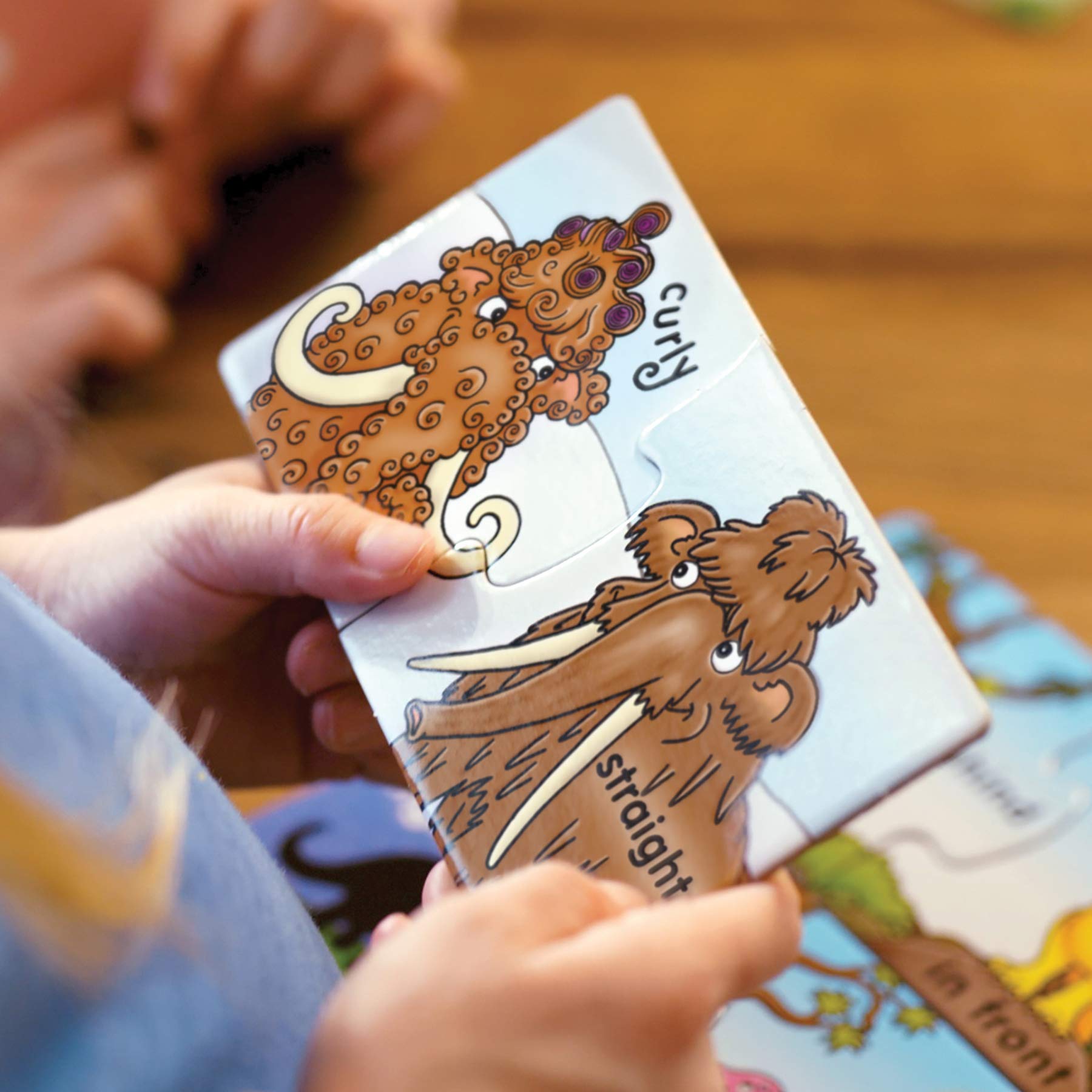 Orchard Toys Dinosaur Opposites Activity Puzzles - 20 Two-Piece Puzzles | Ages 3-6 5