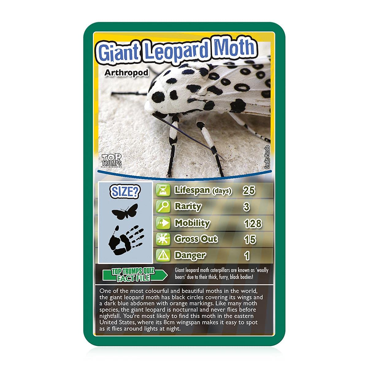 Top Trumps Bugs Classic Card Game - Educational Insect & Arachnid Trivia for Kids 6+ 14
