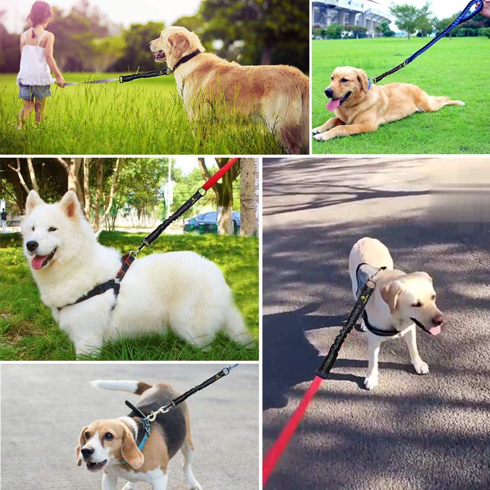 Snagle Paw Bungee Dog Leash Extension - Shock Absorbing | 24 Inch Extended Length | Reflective 7