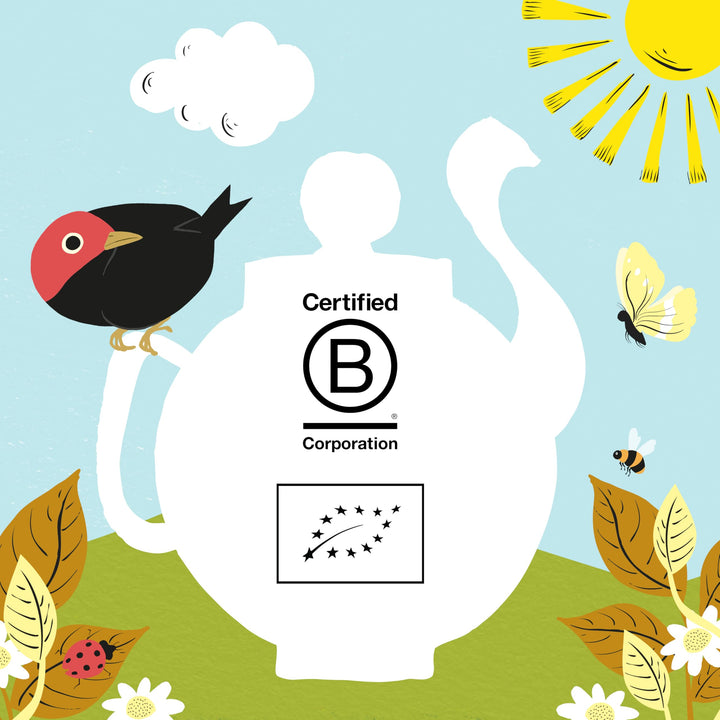 Clipper - Organic Chamomile Tea Bags | 250 Individually Wrapped Fairtrade Infusion Sachets