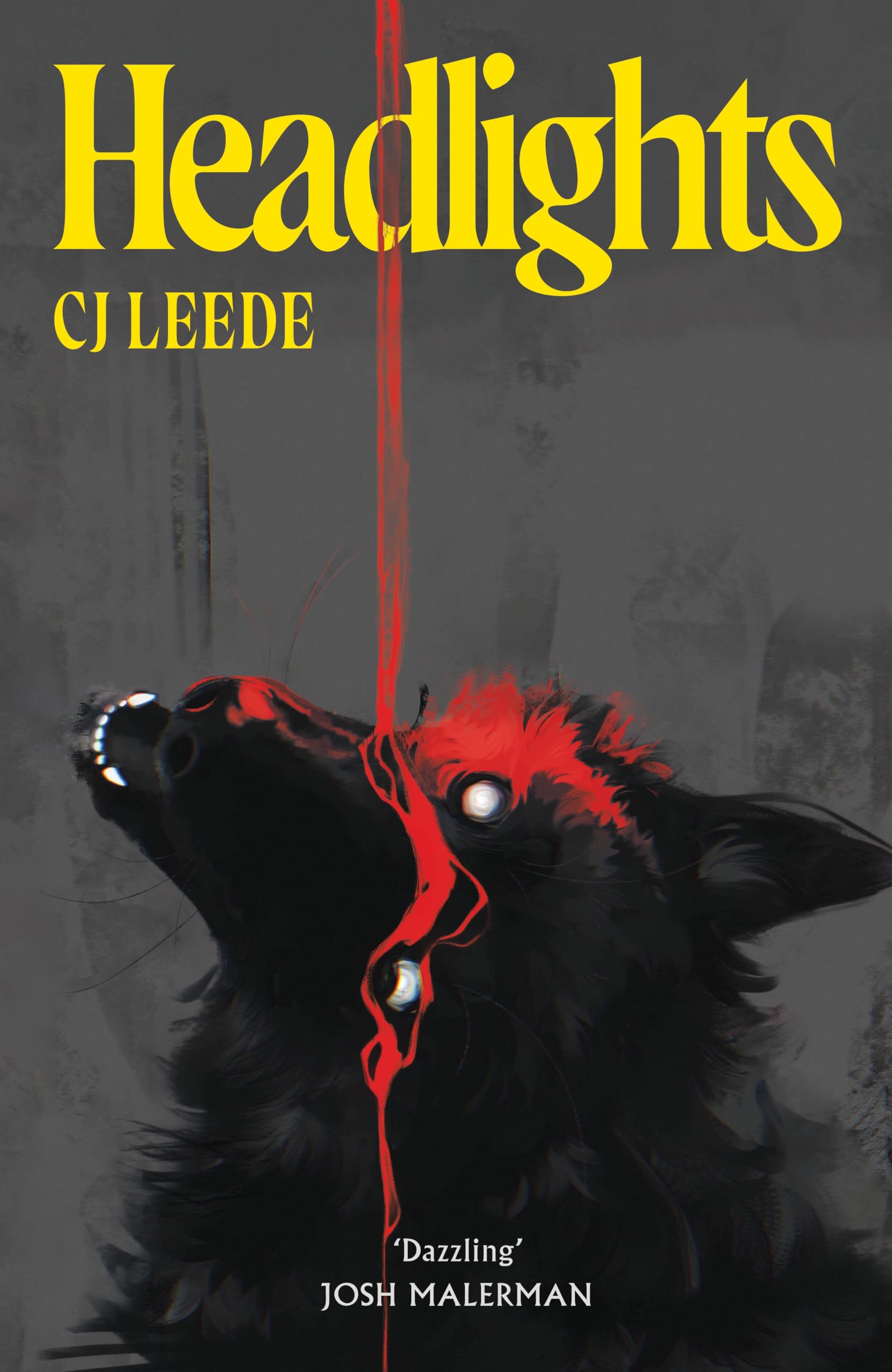 CJ Leede - Headlights: A Dark, Visceral Serial Killer Horror | Hardcover