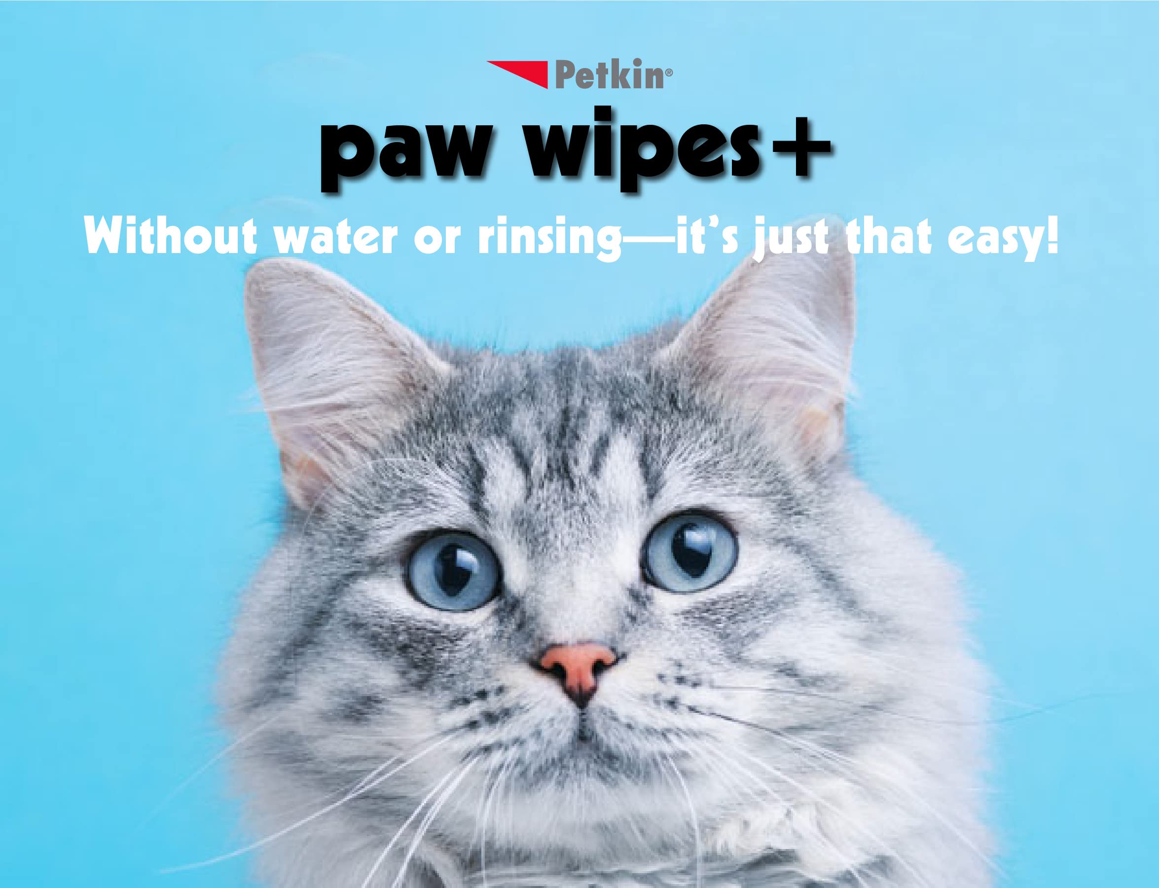 Petkin Paw Wipes - Extra Soft & Strong Aloe Vera Formula for Daily Paw Care | 100 Count 4
