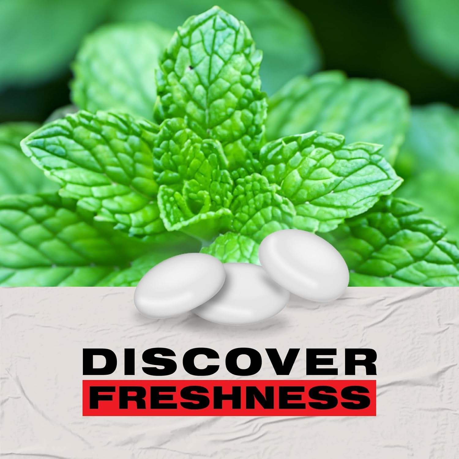 Trebor Softmints Peppermint Flavour, 44 Pack, Vegan & Vegetarian Friendly Chewy Mints with Crunchy Shell 6