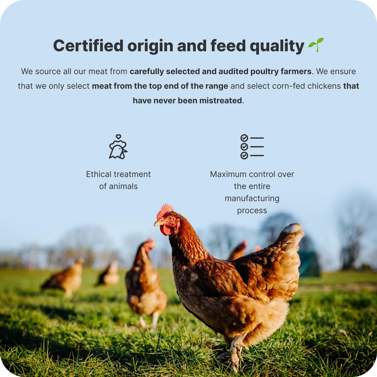 Vilgain Chicken Breasts with Salt and Pepper - 100g Tin | 98% Chicken Breast | 20g Protein 4