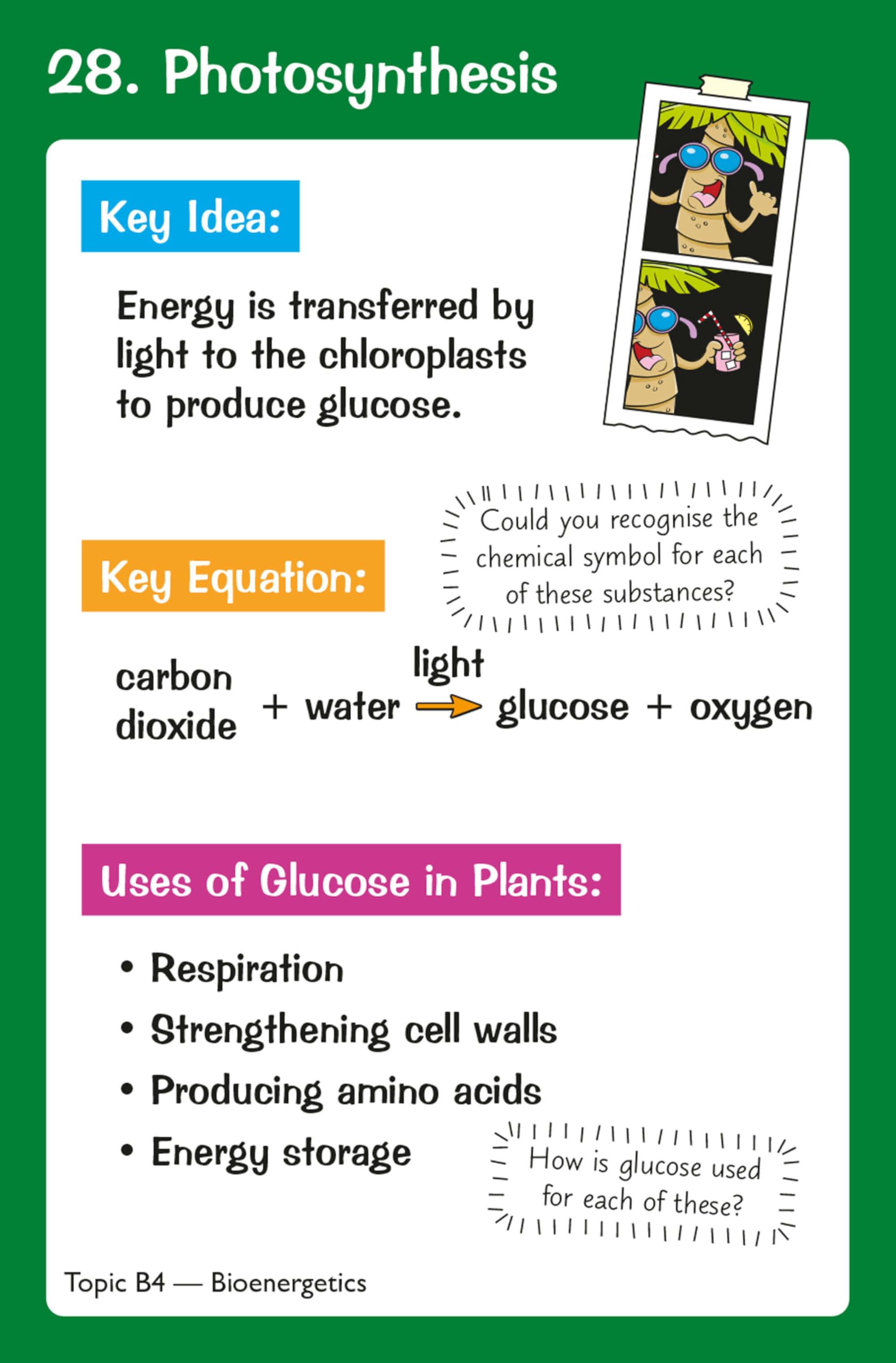 CGP New GCSE Combined Science AQA Higher Key Fact Revision Cards | Teaching Aid