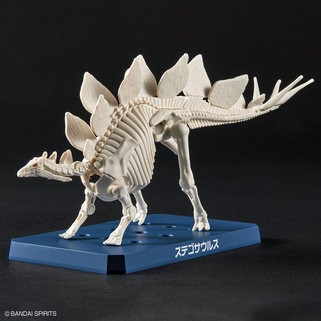 Bandai Dinosaur Plastic Stegosaurus Model Kit - Buildable Prehistoric Creature Toy