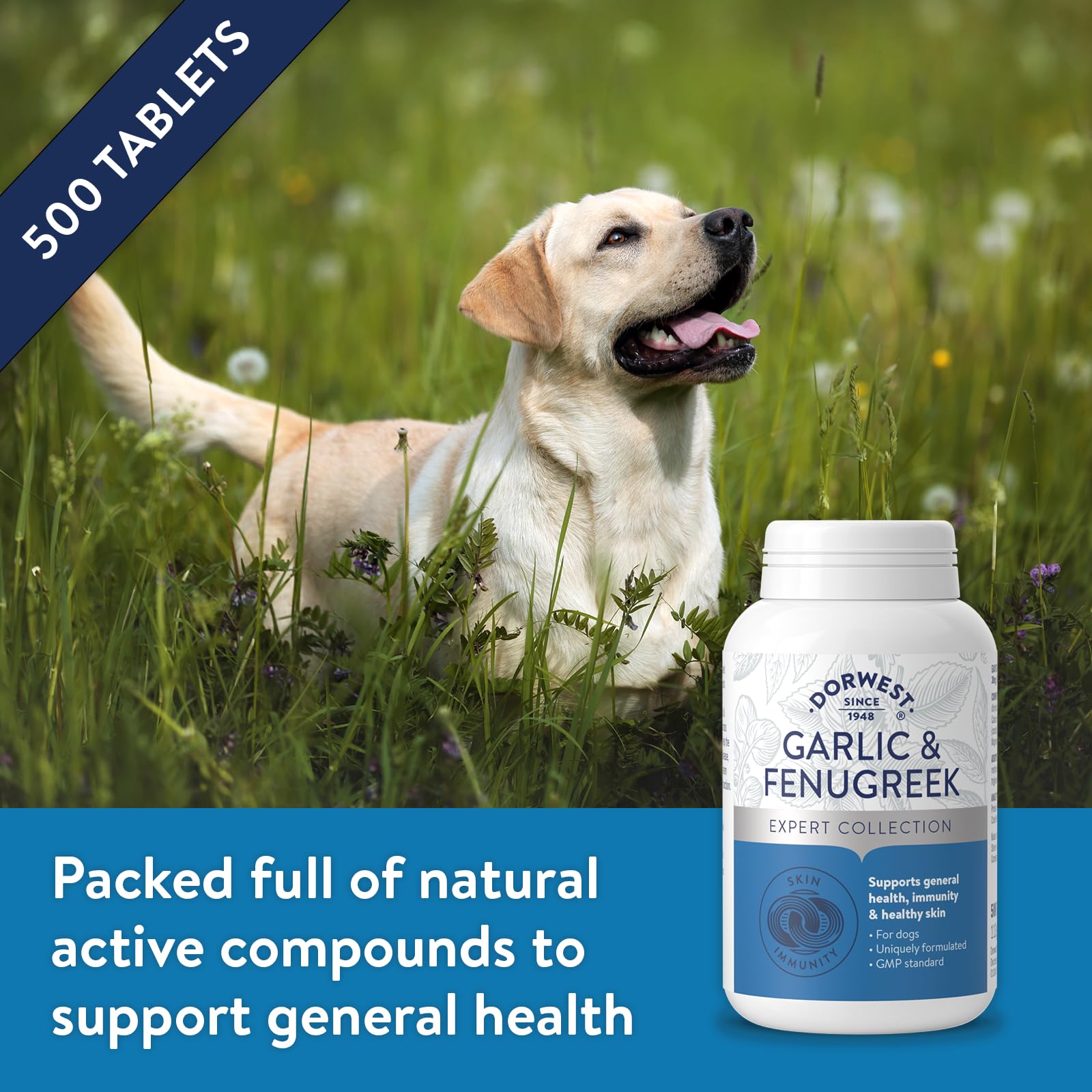 DORWEST HERBS Garlic and Fenugreek Tablets for Dogs - 500 Count | Supports Immunity & Skin Health