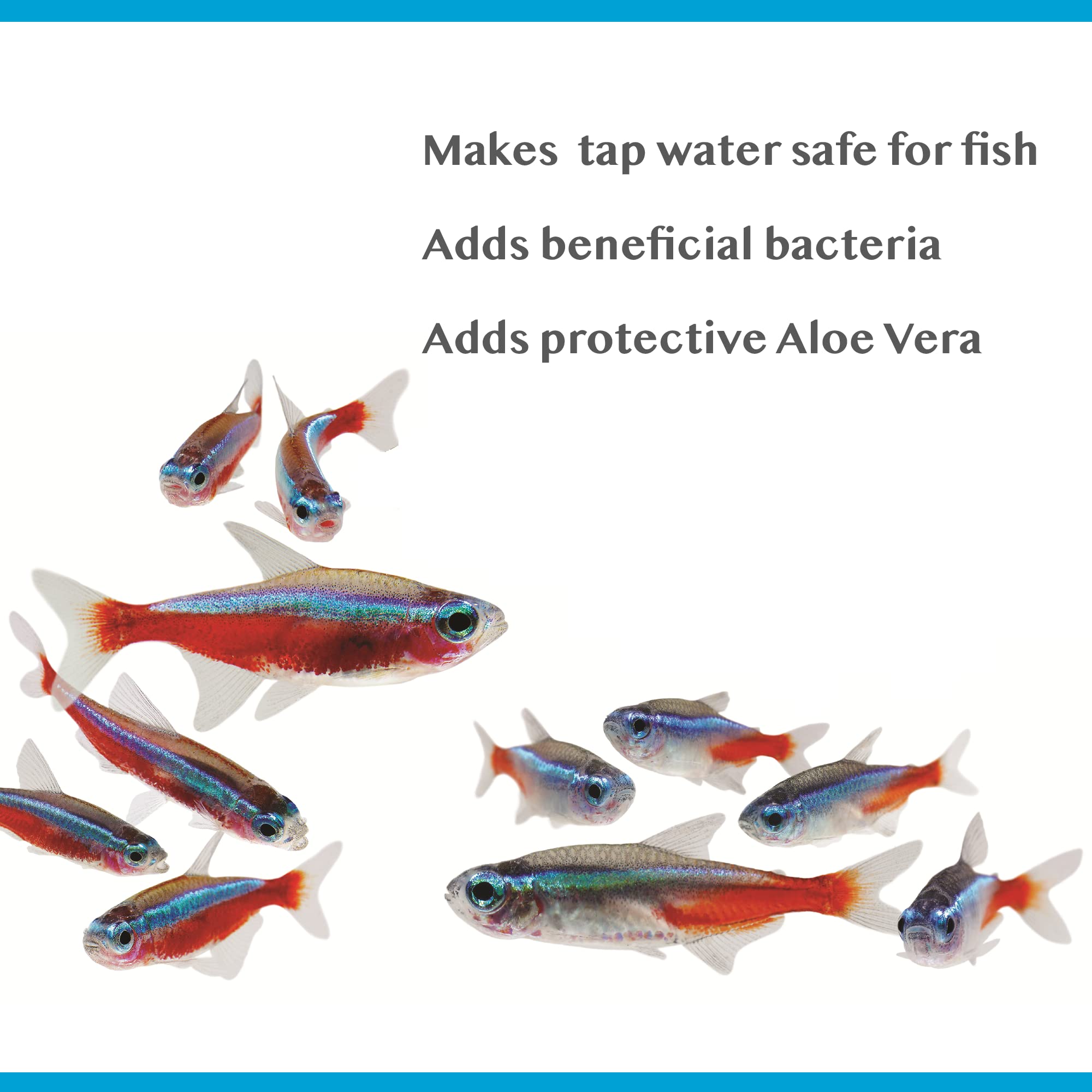 Interpet Bioactive Tapsafe Aquarium Water Dechlorinator | 500 ml Liquid Treatment 4