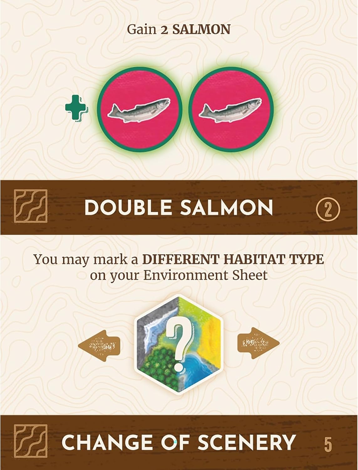 AEG Cascadia: Rolling Rivers Roll & Write Dice Game 3