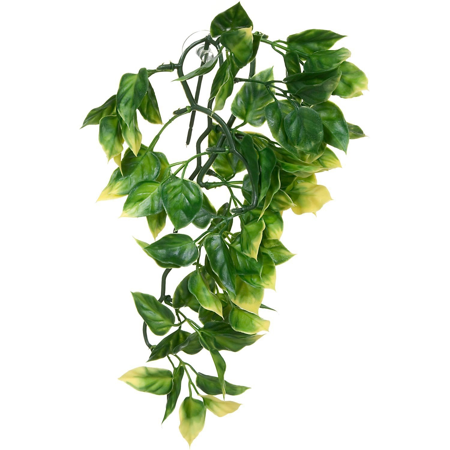 Exo Terra Plastic Amapallo Plant - Small Size, Realistic Reptile Decor | PT3001 4