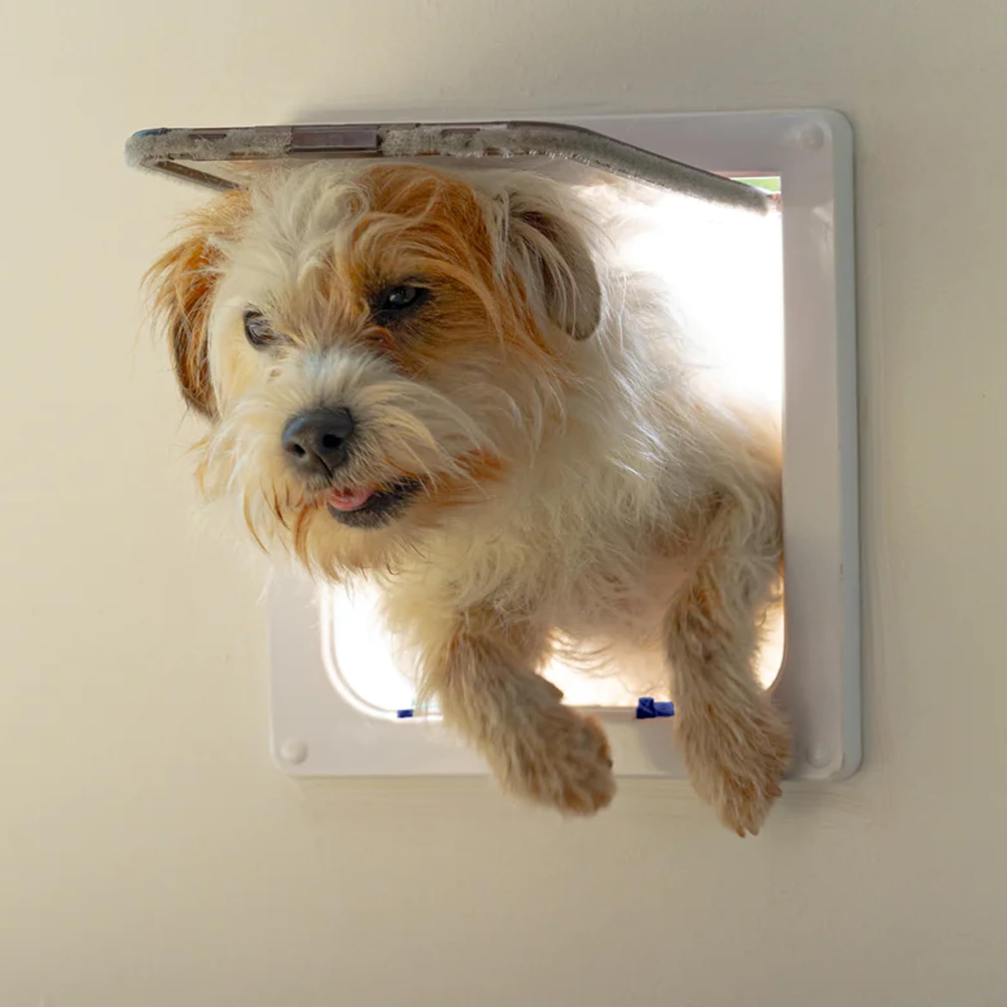Cat Mate Large Cat Flap - 4-Way Locking, Weatherproof, Silent Action | White | L Size 2