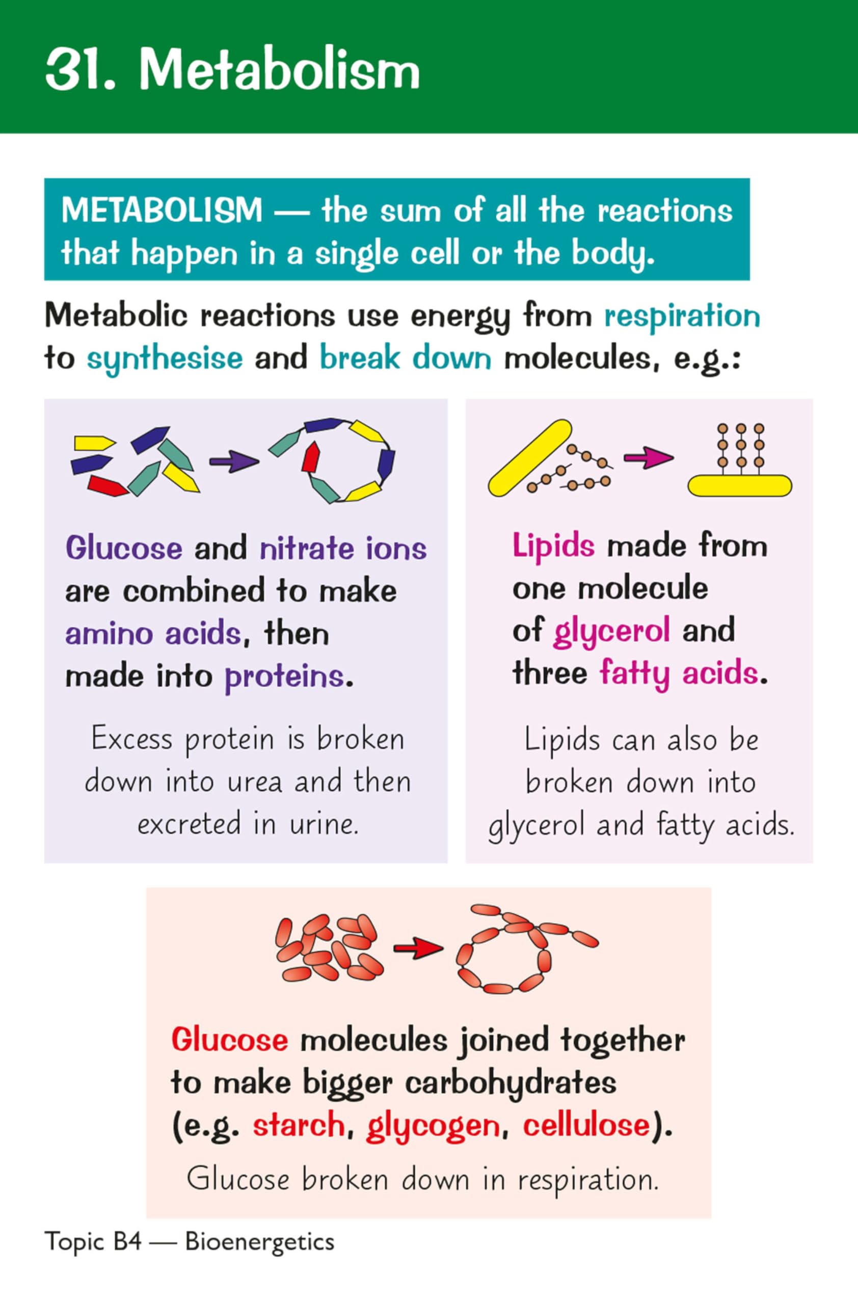 CGP New GCSE Combined Science AQA Higher Key Fact Revision Cards | Teaching Aid 9