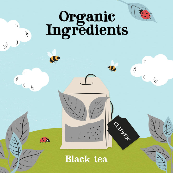 Clipper Organic Fairtrade Everyday Earl Grey 80 Teabags 200g (Pack of 6) - 480 Teabags Total