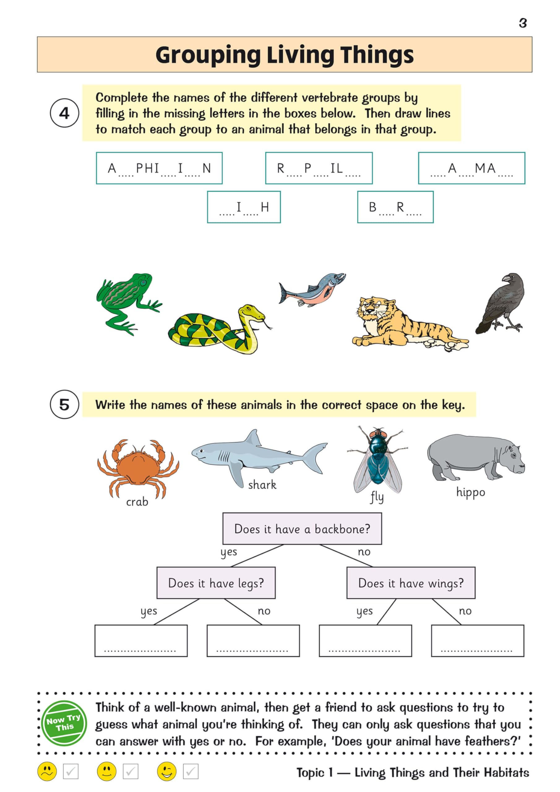 Coordination Group Publications Ltd (CGP) KS2 Science Year 4 Targeted Question Book - Ages 8+ | Paperback | 48 Pages 3