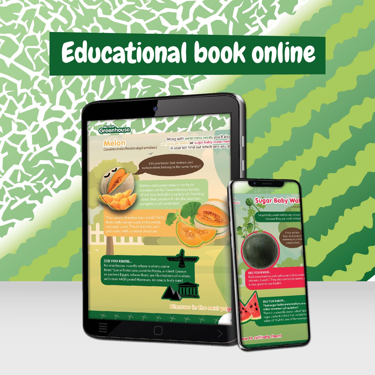 Science4you Small Greenhouse for Kids - Grow Kit with Watermelon, Melon & Watercress Seeds for Children 6+ 2